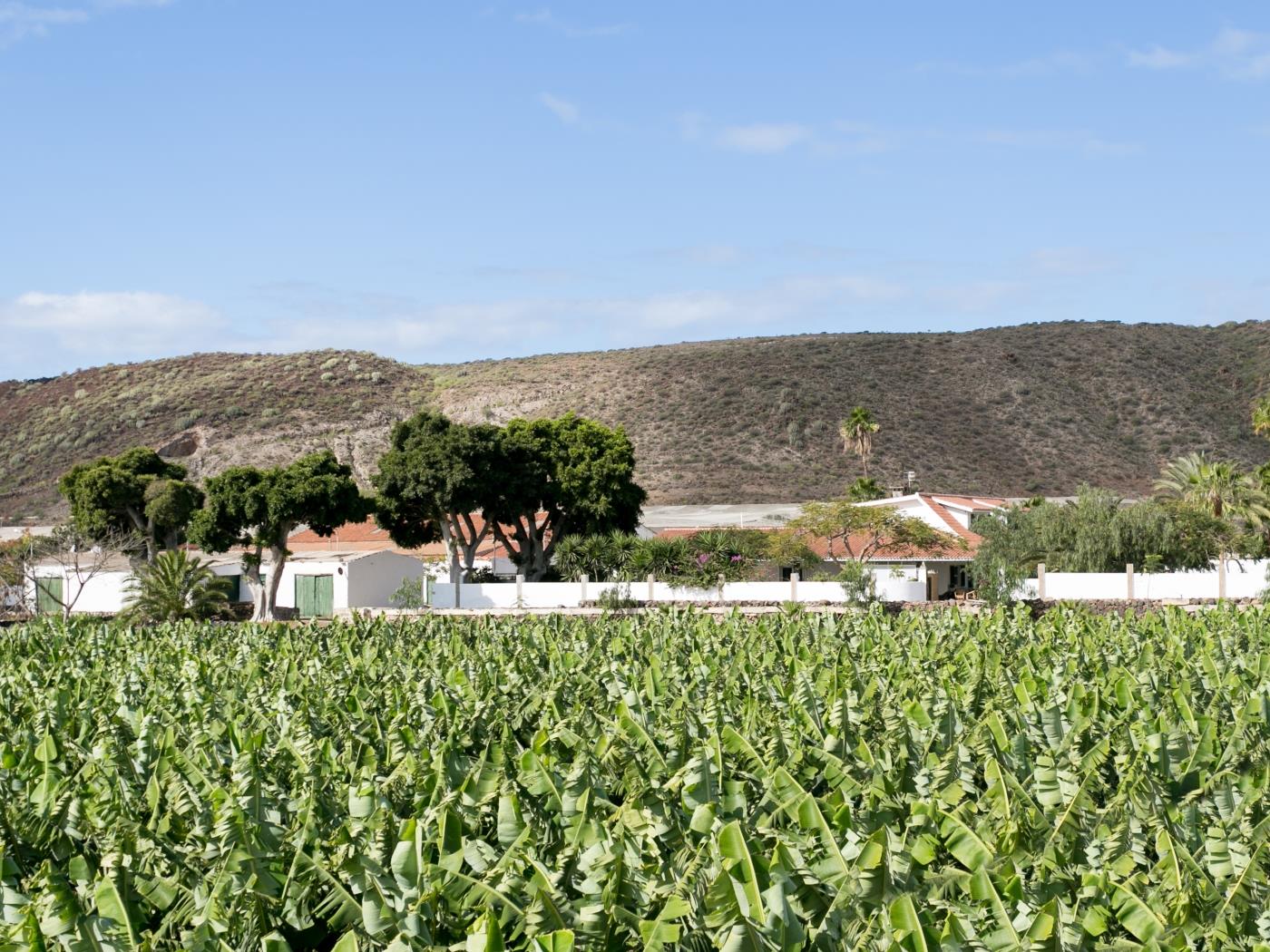 VILLA EL MATO - CASERÍO DE GUAZA in Arona