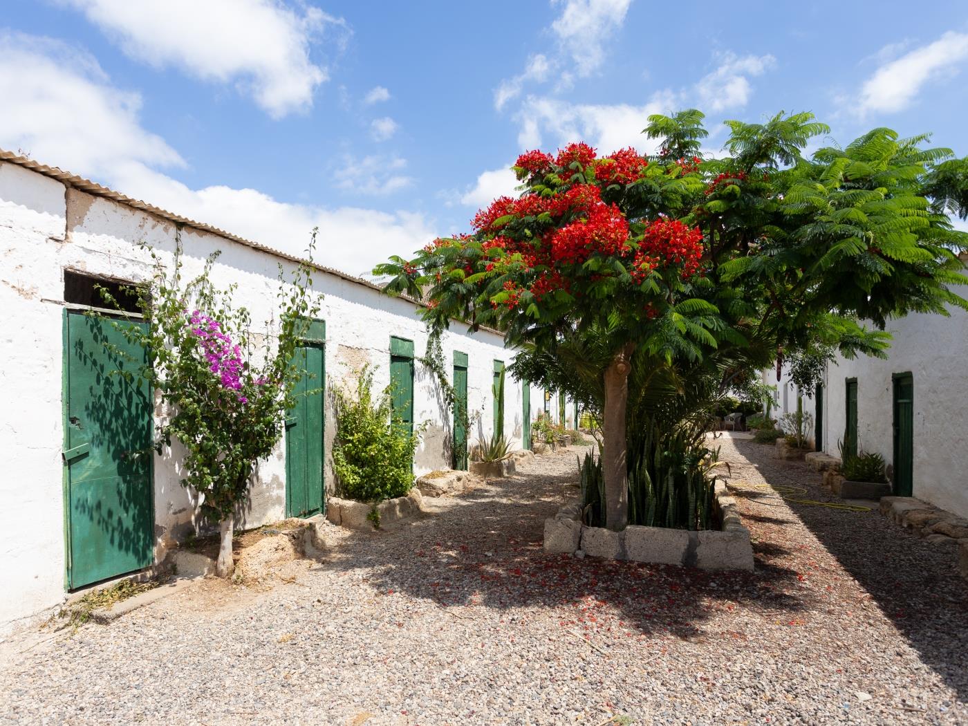VILLA EL MATO - CASERÍO DE GUAZA in Arona