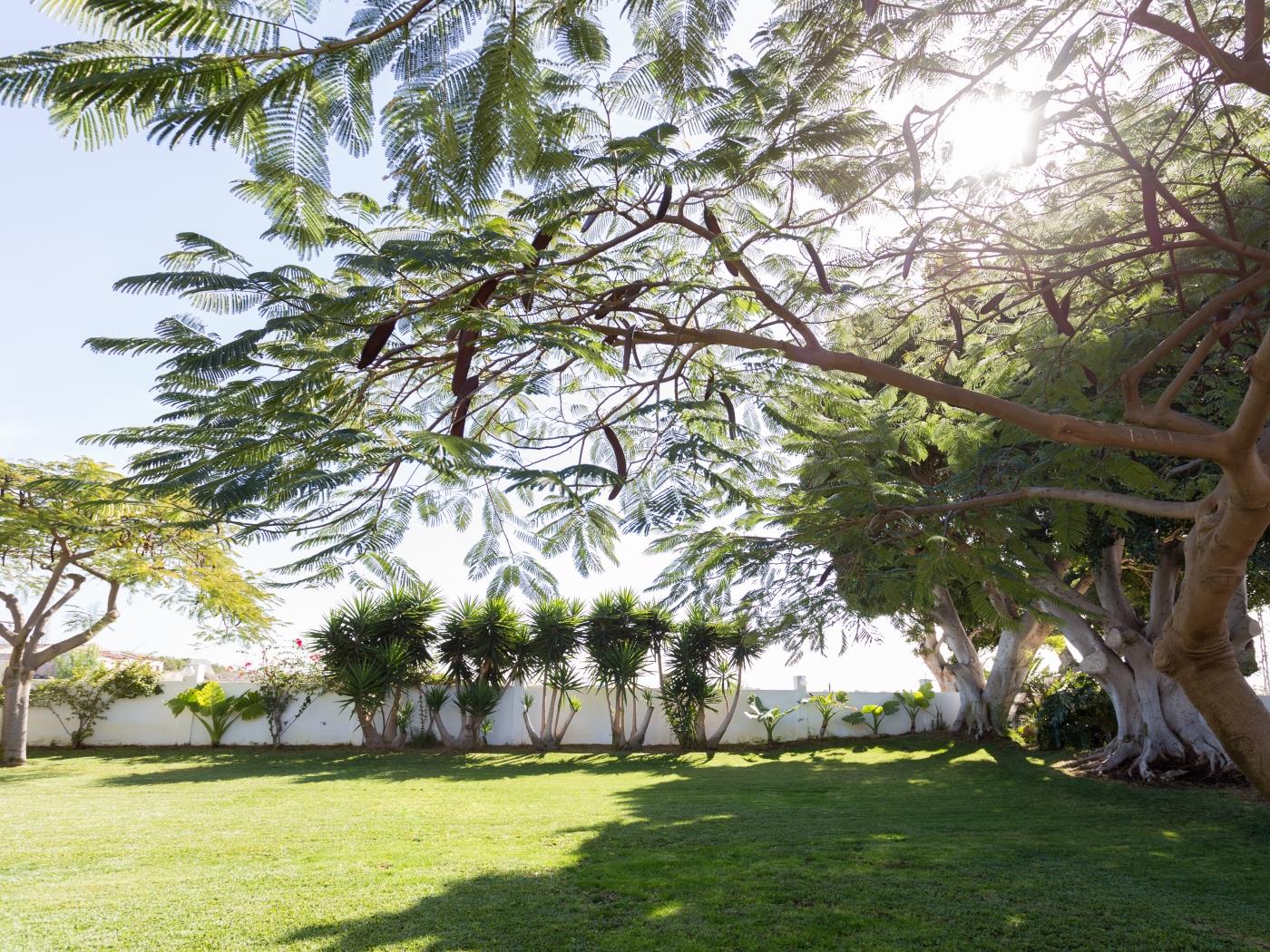 VILLA EL MATO - CASERÍO DE GUAZA in Arona